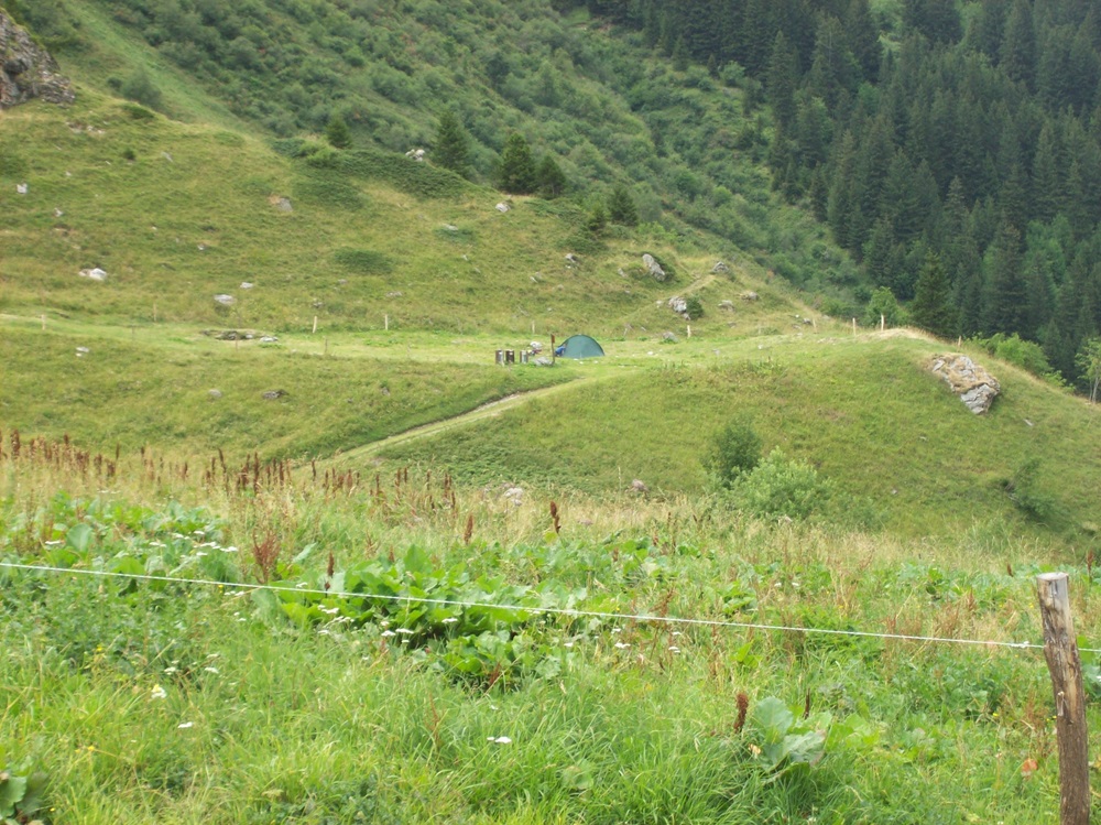nature